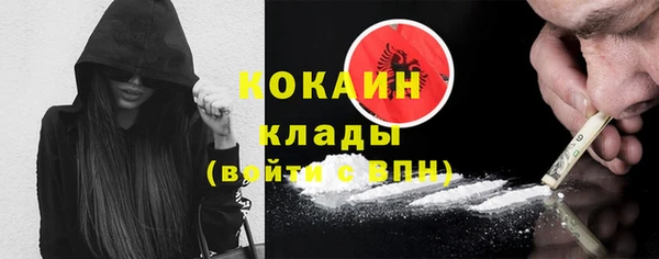 PSILOCYBIN Козловка