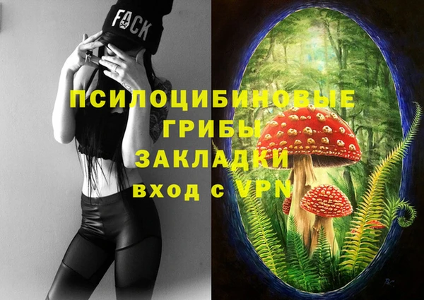 гашик Кодинск
