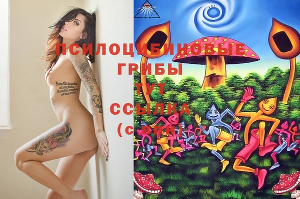 гашик Кодинск