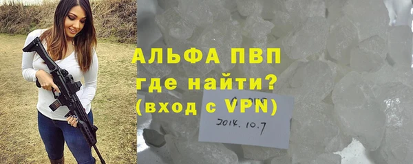 PSILOCYBIN Козловка