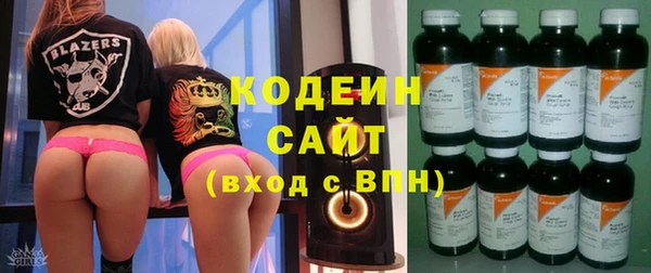 PSILOCYBIN Козловка