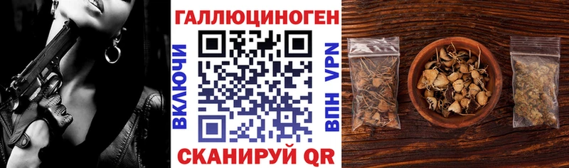 Купить где  Далматово  Галлюциногенные грибы MAGIC MUSHROOMS 